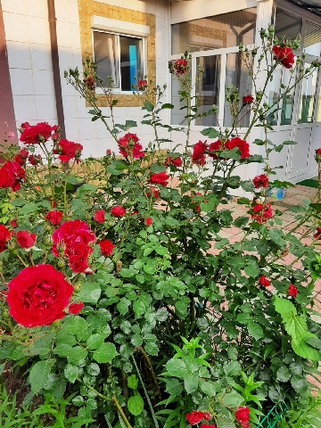 Vand casa Comuna CORBU Jud CONSTANTA