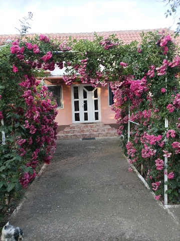 Casa de vanzare in localitatea Vasad, jud. Bihor