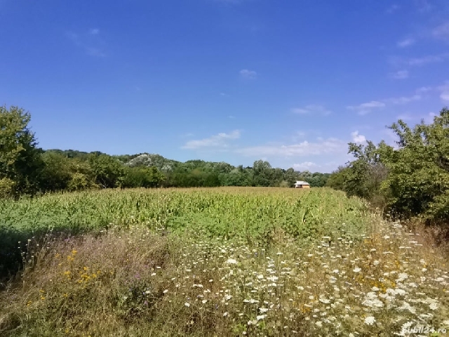Teren Intravilan Valcea, Ladesti