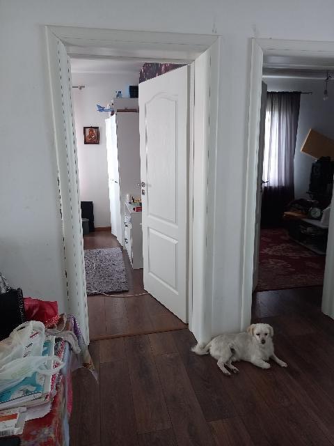 Casa 3 camere living baie si bucatarie Darvari Ilfov