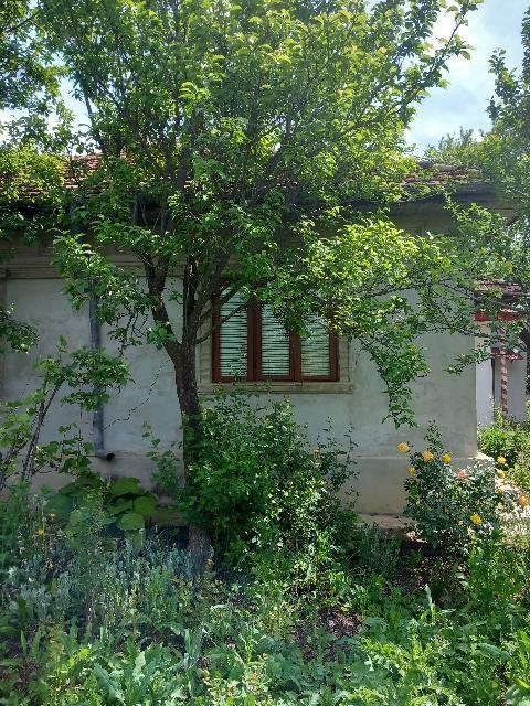 Casă de vânzare sat Izvorul - Dulce, comuna Beceni, jud. Buzău
