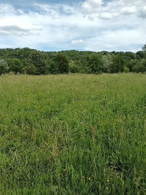 Teren intravilan jud Arges