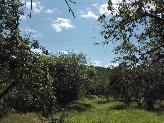 Vand 3185 mp teren intravilan, in satul Rotari, Comuna Ceptura, judetul Prahova