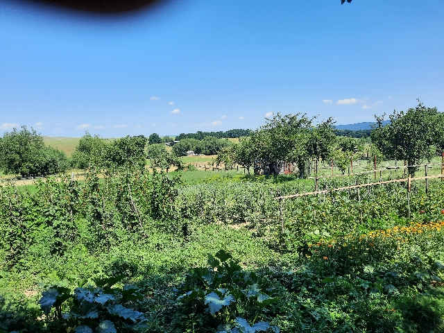 Teren Targu Neamt - Marasesti