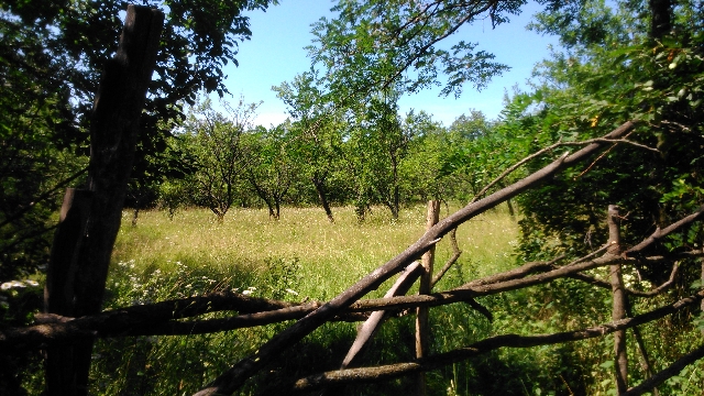 Teren de vanzare între comuna Teișani și Slănic Prahova