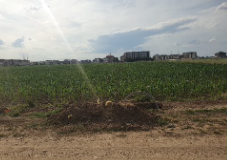 2,5Ha Str. Stejarului, dubla deschidere, 70m