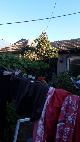 Vanzare casă demolabilă în Constața