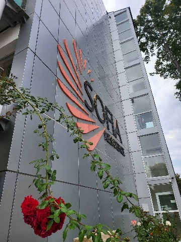 De vanzare garsoniera la mare, Saturn