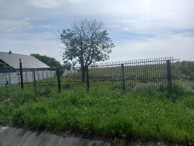 Vanzare teren Calarasi Vasilati