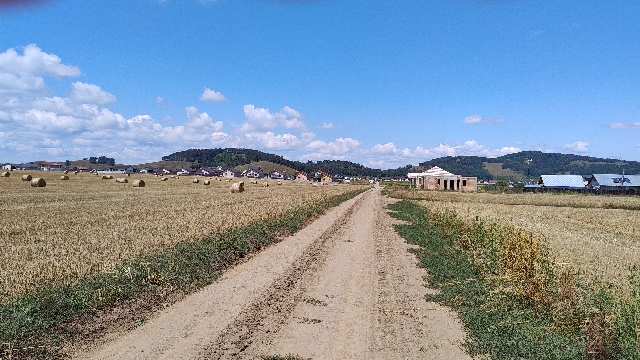 Teren extravilan 12,5euro Sânpetru Brașov