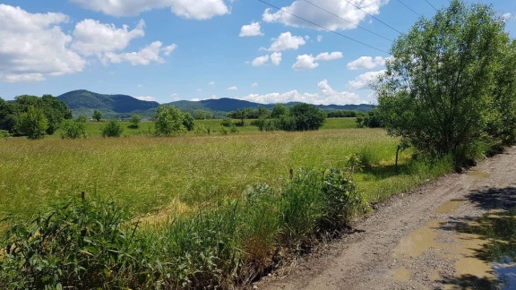 Teren 4000 mp  zona Lazul Sesului, Sighetu Marmatiei, Judetul Maramures