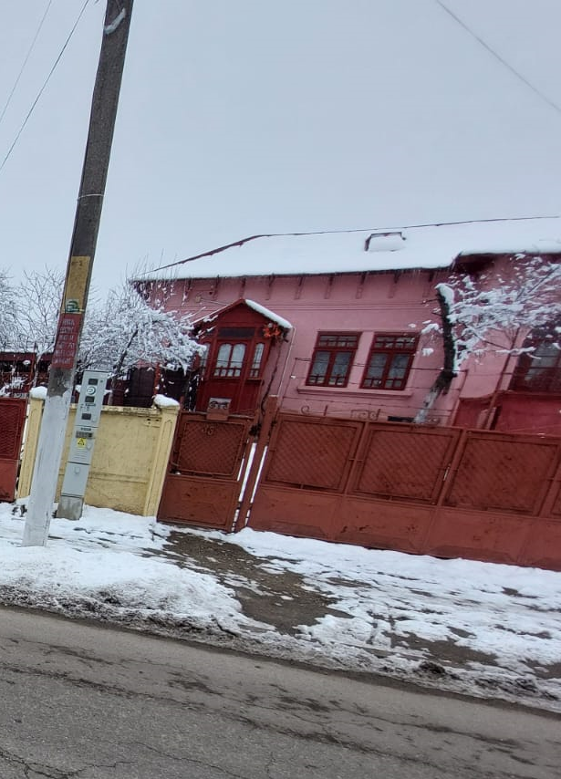 Vand casa in Rosiorii de Vede