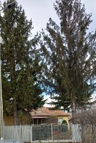 Vanzare casa si teren in localitatea Draganesti, sat Meri