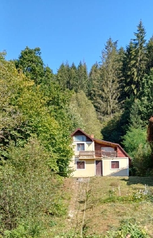 Casa si teren Agapia, judetul Neamt