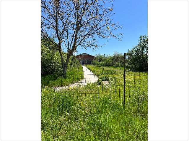 Oază de liniște la 20 de minute de București – direct de la proprietar!