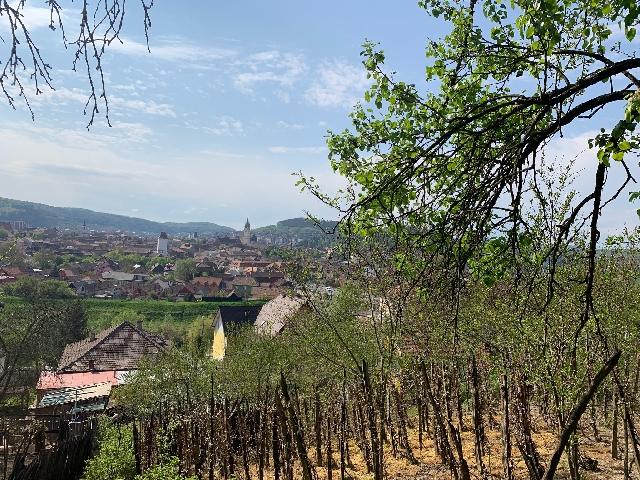 Imagine