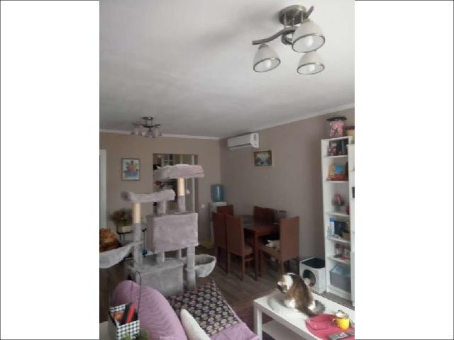 Imagine
