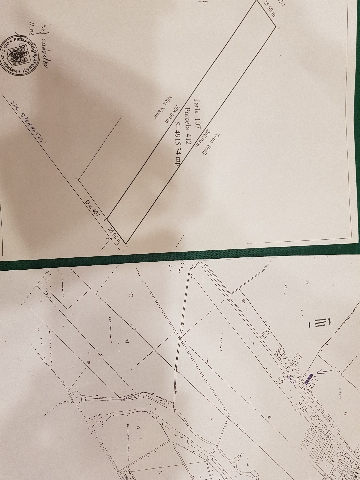 Vand teren Afumati Ilfov 5000 m2