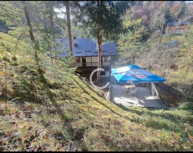 Casa de vacanta Rucar Bran